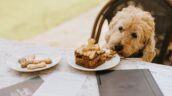 Dog-friendly stays at Healing Manor Hotel, Grimsby, Lincolnshire