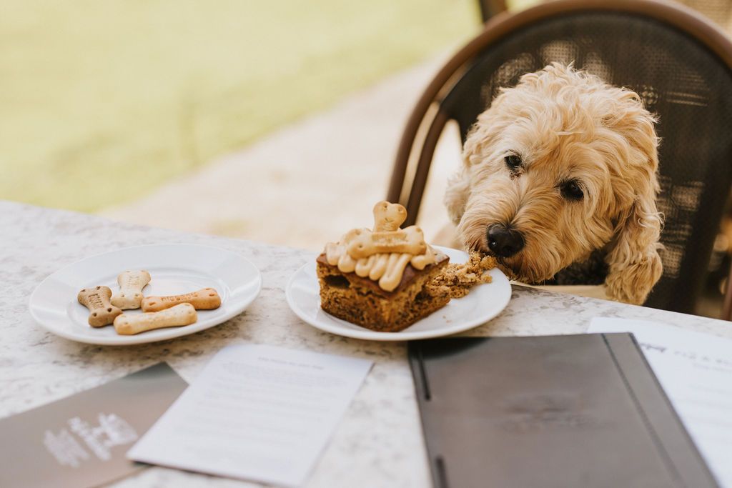 Dog-friendly stays at Healing Manor Hotel, Grimsby, Lincolnshire