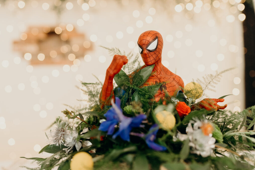 Tasha & Connor's Healing Manor Wedding