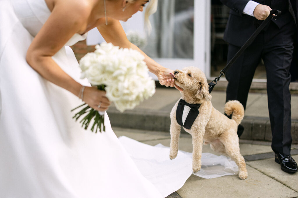 Hollie Liam Healing Manor Wedding