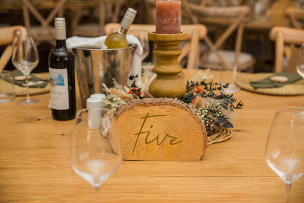 Joanne and Paul Healing Manor Wedding