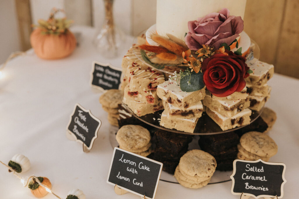 Stevie and Ben Healing Manor Wedding Aimee Lince Photography